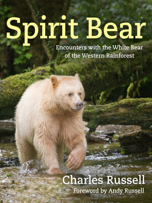 cover image of Spirit Bear